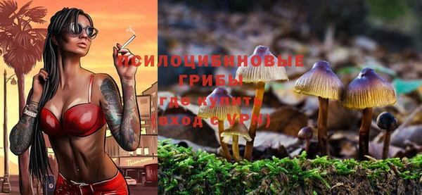 амфетамин Богородск